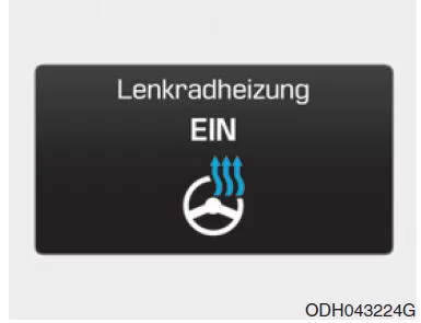 Lenkradheizung Ein