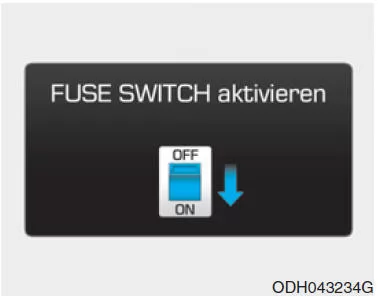 FUSE SWITCH aktivieren