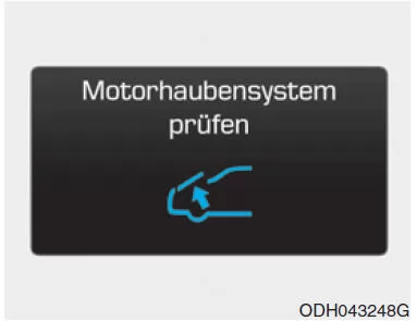 Motorhaubensystem prüfen
