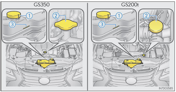 Beim Hinzufügen von Motorkühlmittel (GS350/GS200t)