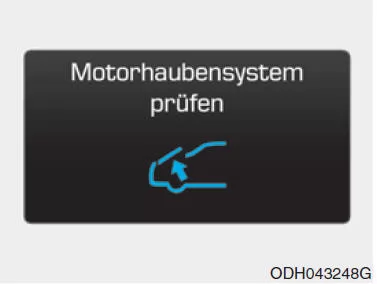 Motorhaubensystem prüfen