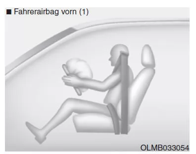 Fahrerairbag vorn (1)