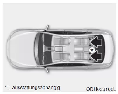 Kopfstützen der Rücksitze