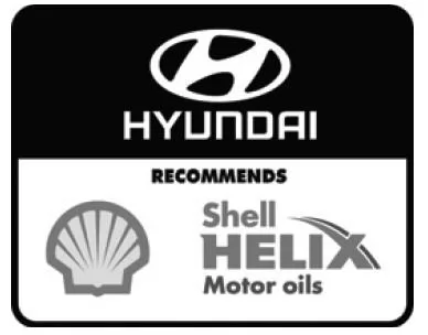 Motoröl und Ölfilter wechseln