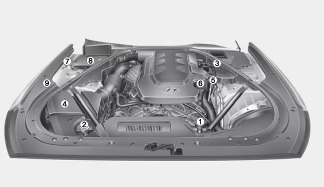 Benziner (Lambda 3,0 / 3,3 / 3,8)