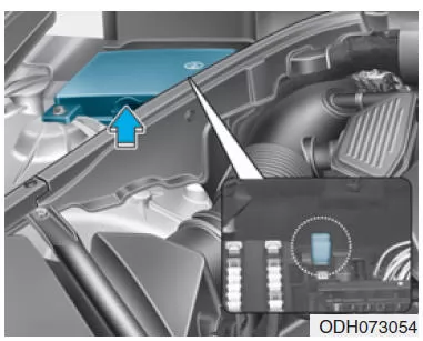 Sicherungen ersetzen