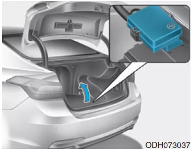 Sicherungskasten Kofferraum (Batteriebox-Sicherungskasten)