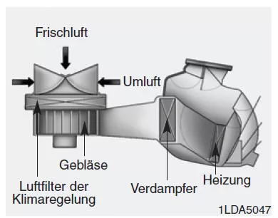Luftfilter der Klimaregelung