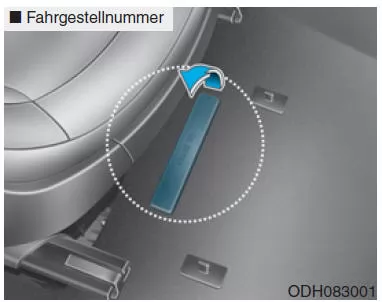 Fahrzeug-Identnummer (VIN)