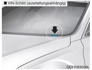 Fahrzeug-Identnummer (VIN)