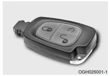 Elektronischer Schlüssel