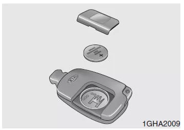 Elektronischer Schlüssel