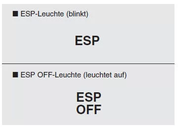 Elektronisches Stabilitätsprogramm
