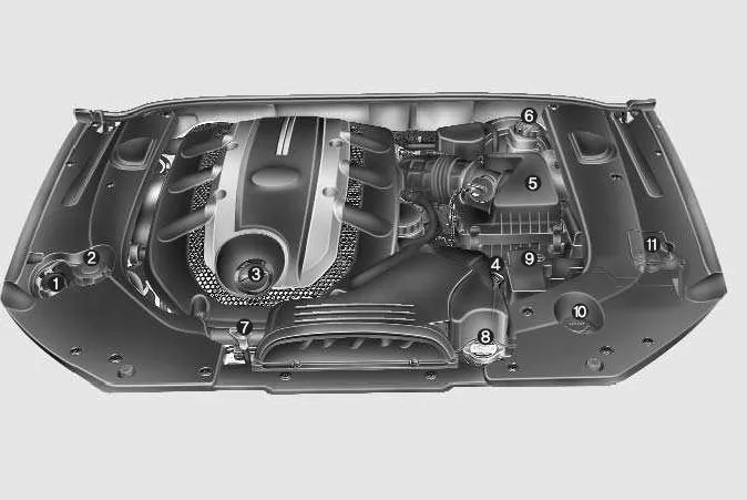 Motorraum