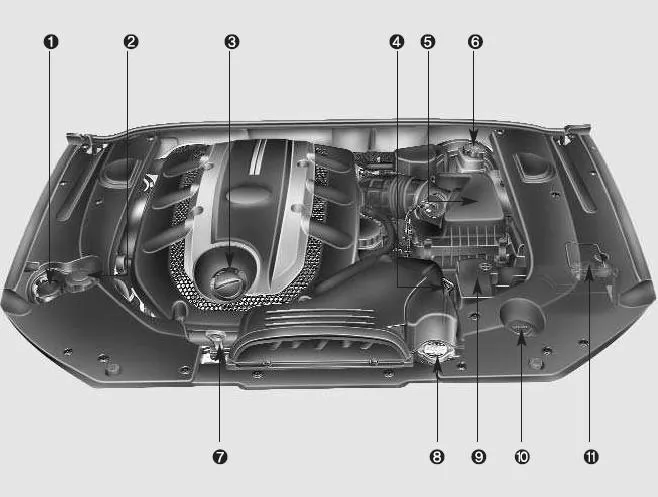 Motorraum