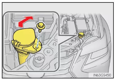 Vordere Blinkleuchte (Fahrzeuge mit Einzellampen-Scheinwerfern)