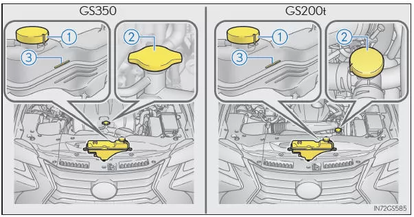 Beim Hinzufügen von Motorkühlmittel (GS350/GS200t)