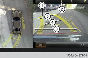 Draufsicht mit Bild der Rückfahrkamera