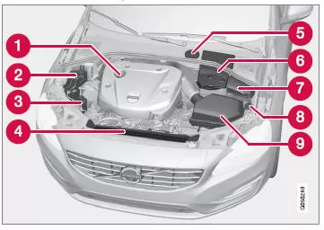 Das Aussehen des Motorraums kann je nach Motorausführung variieren.