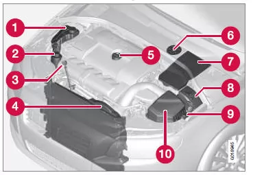 Das Aussehen des Motorraums kann je nach Motorausführung variieren.