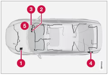 Position der Zentralelektriken